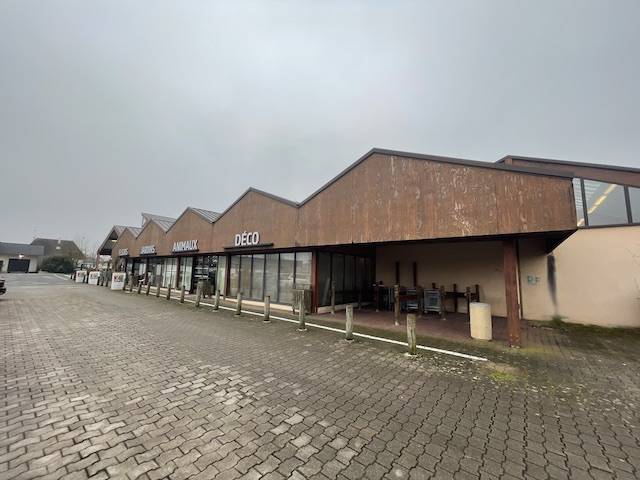 AMR Renovation - ravalement facade (25)